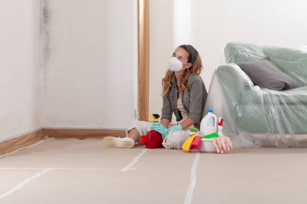 Reliable Mold Remediation contractor in Portland, TN by WQB Mold Removal